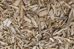 biomass boilers Whitstable